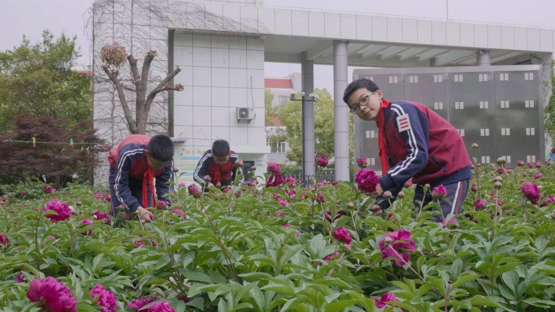 让每个孩子都有出彩的机会徐泾这所学校这样做