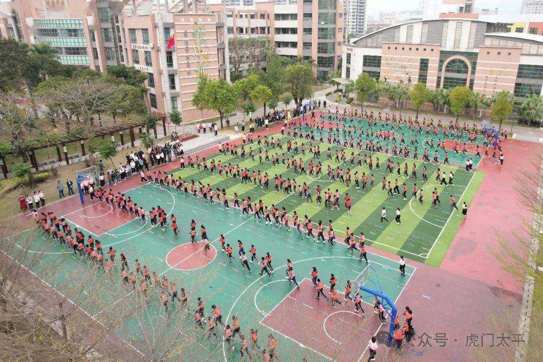 市一等奖虎门这所小学真棒