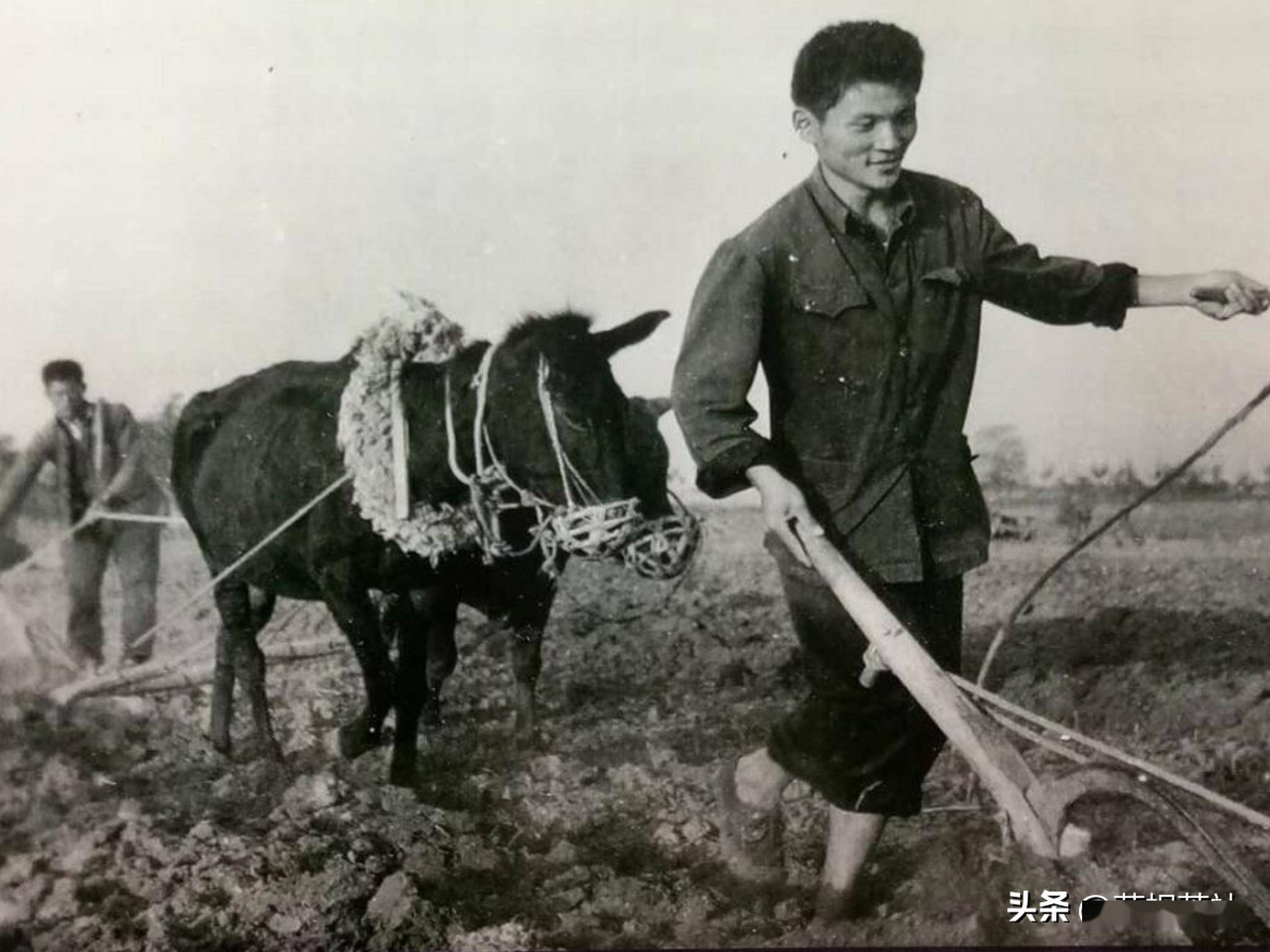 知青岁月当年副队长向我示爱被拒绝多年后再见到他我流泪了