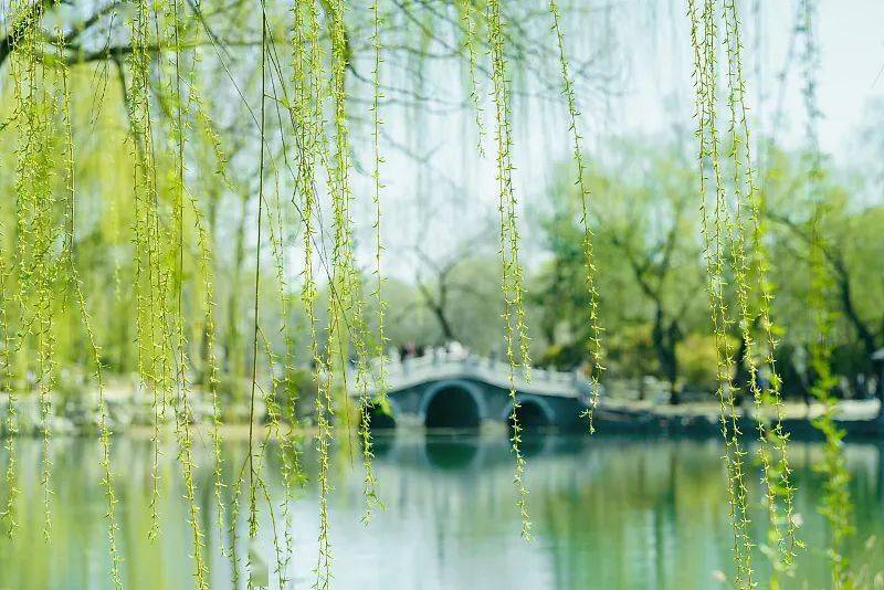 18个描写春天的成语送你笔底春风