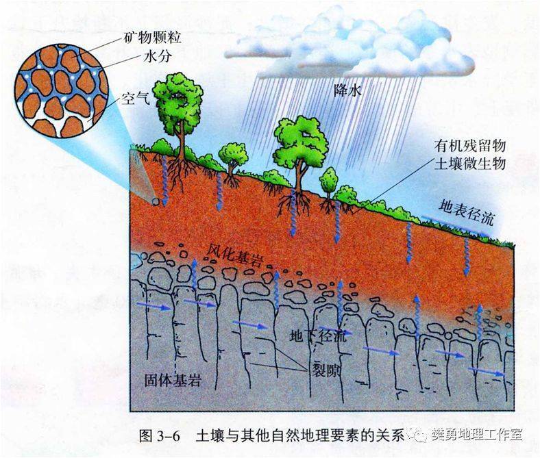 地理辨析春小麦vs冬小麦积温vs无霜期等五组土壤与其