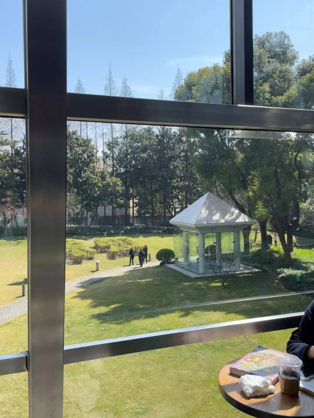 小布摄影团万物催春醒上海的春天在哪里