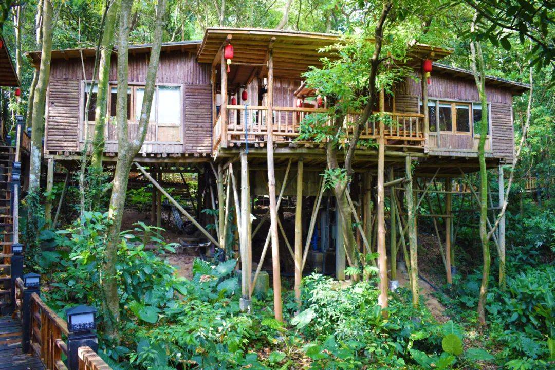 特价错峰游打卡英德九州驿站住树上围屋泡树上温泉游览天门沟景区