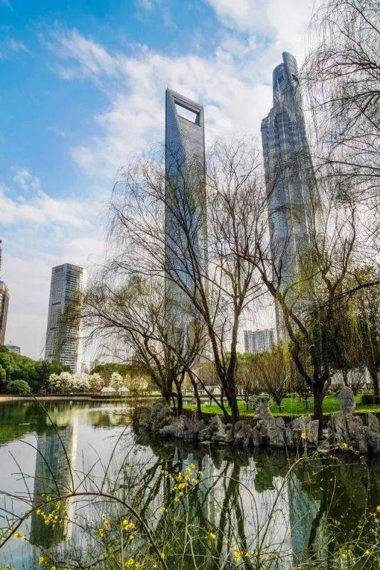 小布摄影团|万物催春醒,上海的春天在哪里?