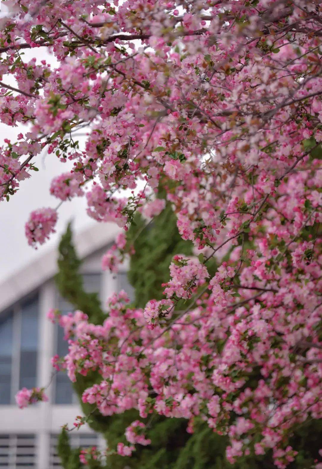 1080_1574竖版 竖屏