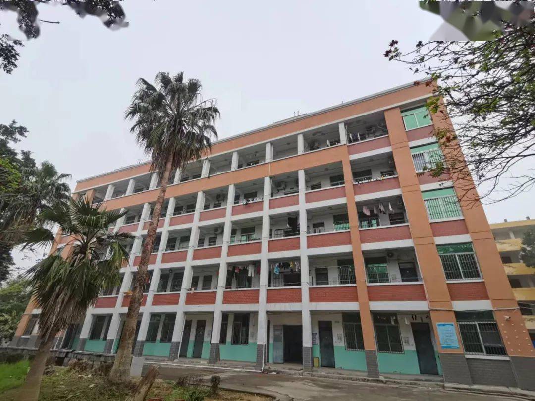 【省报看北岸】北岸:校舍隐患整改立行 部门联动守护校园平安_东埔