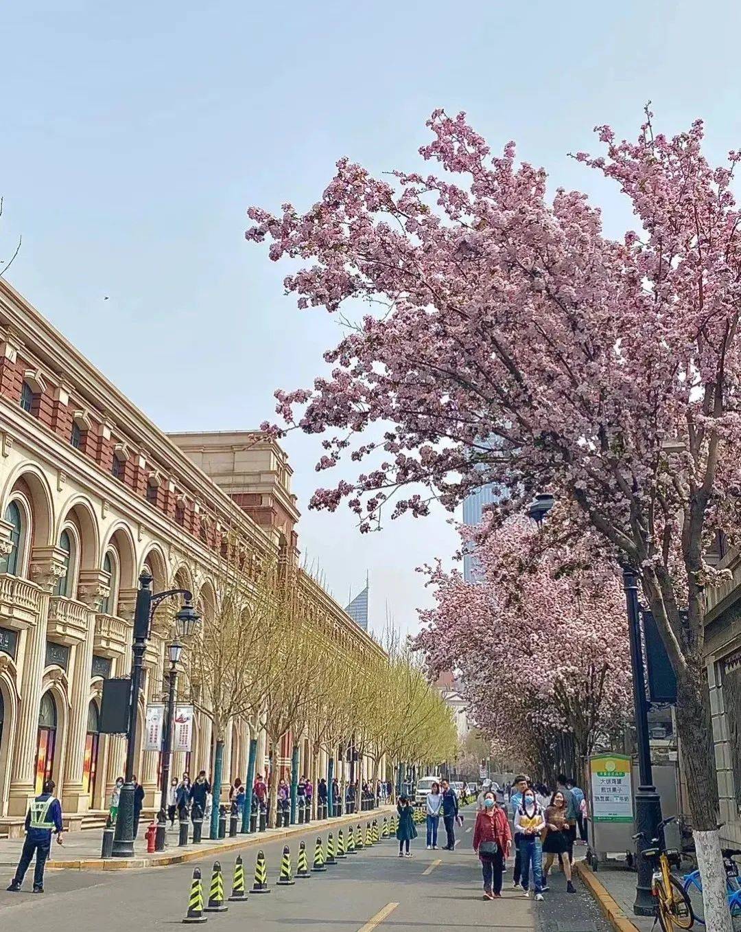 原创音乐人大集结第二届五大道海棠花节邀您共谱花漾乐章