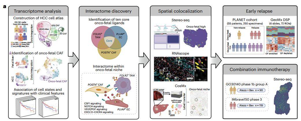 听劝if100论文都在推荐这项技术你也该用上了