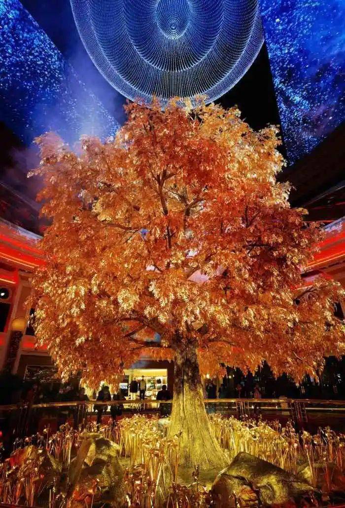 澳门站郭富城演唱会61重本包门票打卡各大网红经典景点舒适住宿往返