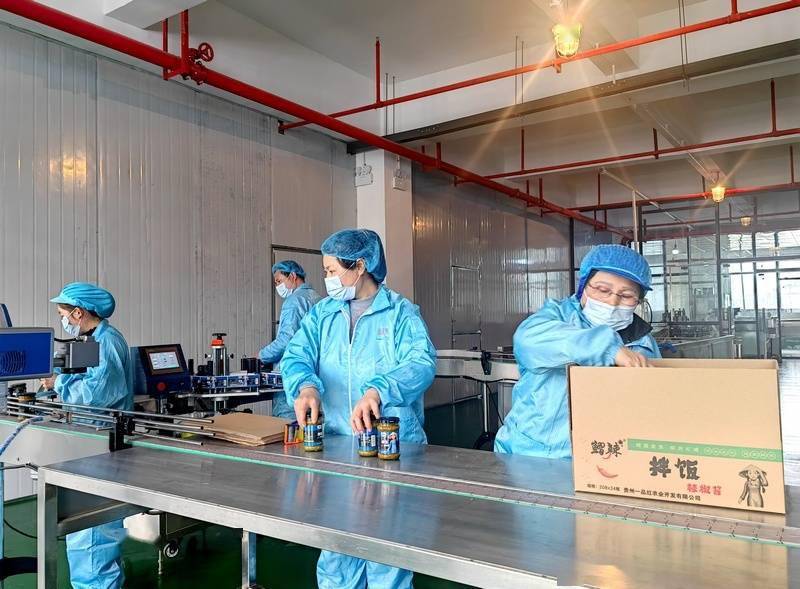 遵义习水12万亩辣椒链起群众火红日子