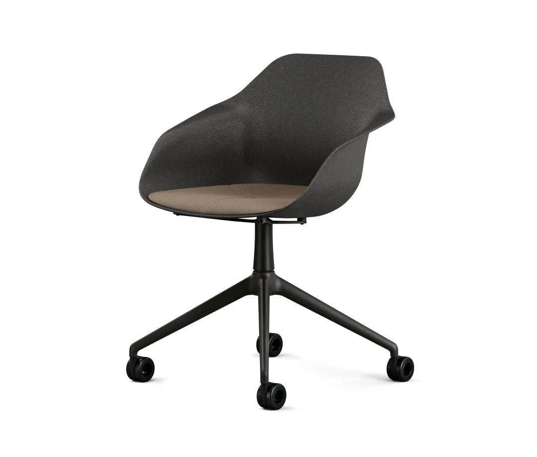 定了本周五厦门将迎来又一盛会