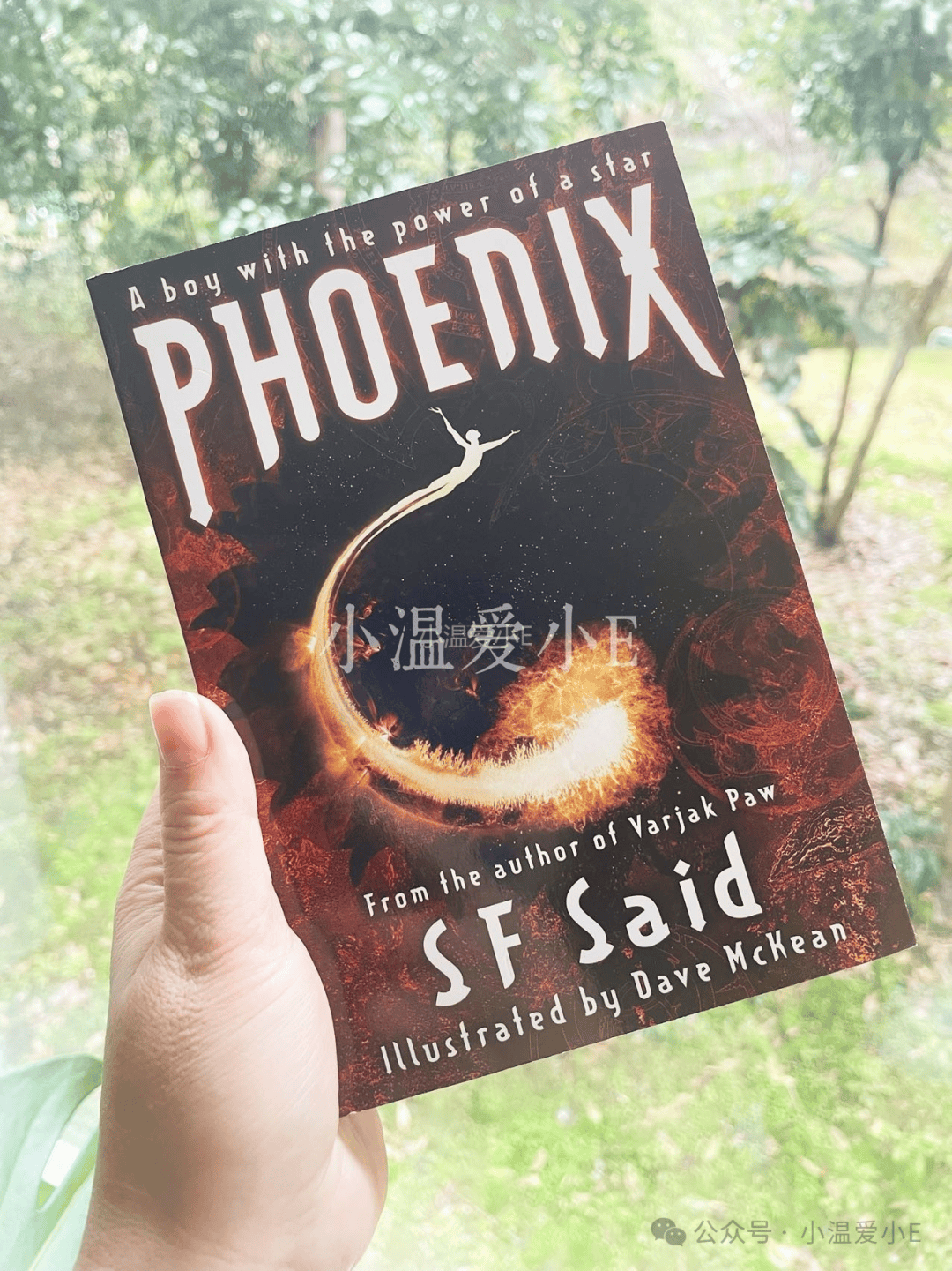 这两本varjak paw是一下子从奇幻转到了童话探险,然后再读这本phoenix