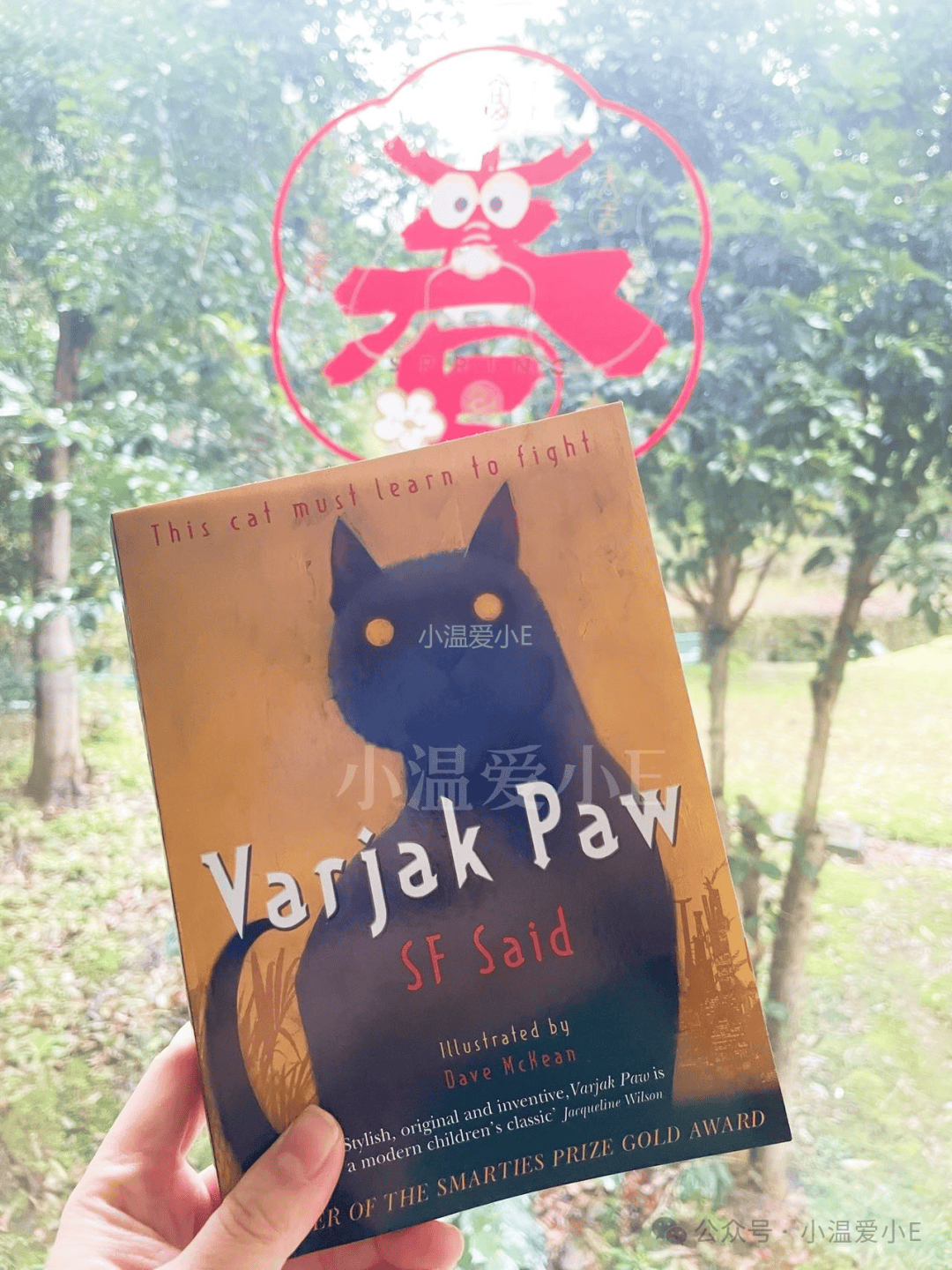 tyger圈粉,我又入手了sf said之前出版的三本书:varjak paw 和续集the