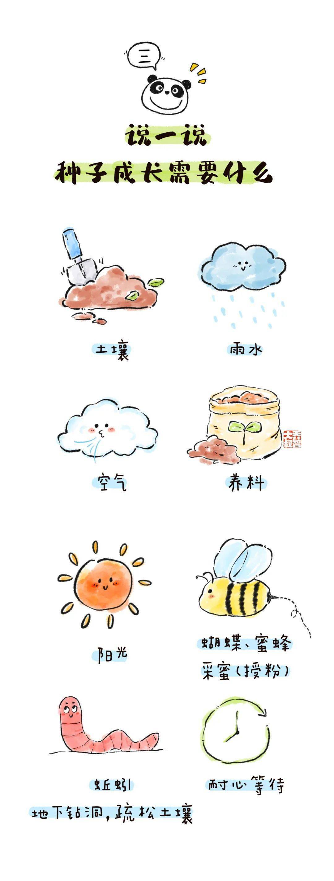 春天给孩子讲一讲这6个种植小知识