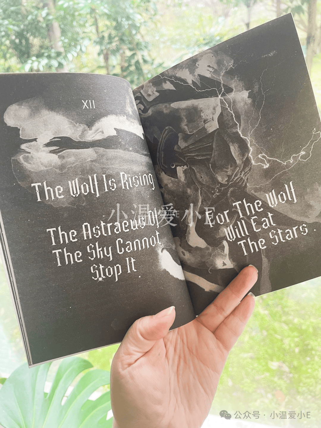 周发货95写完这三本书之后,sf said沉寂了九年,然后写出了这本tyger