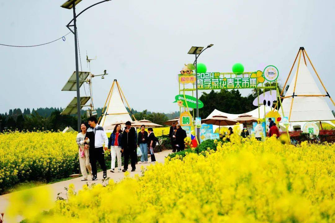 为主题进行跨区互动本届油菜花赏花活动与重庆市潼南区菜花节为推动遂