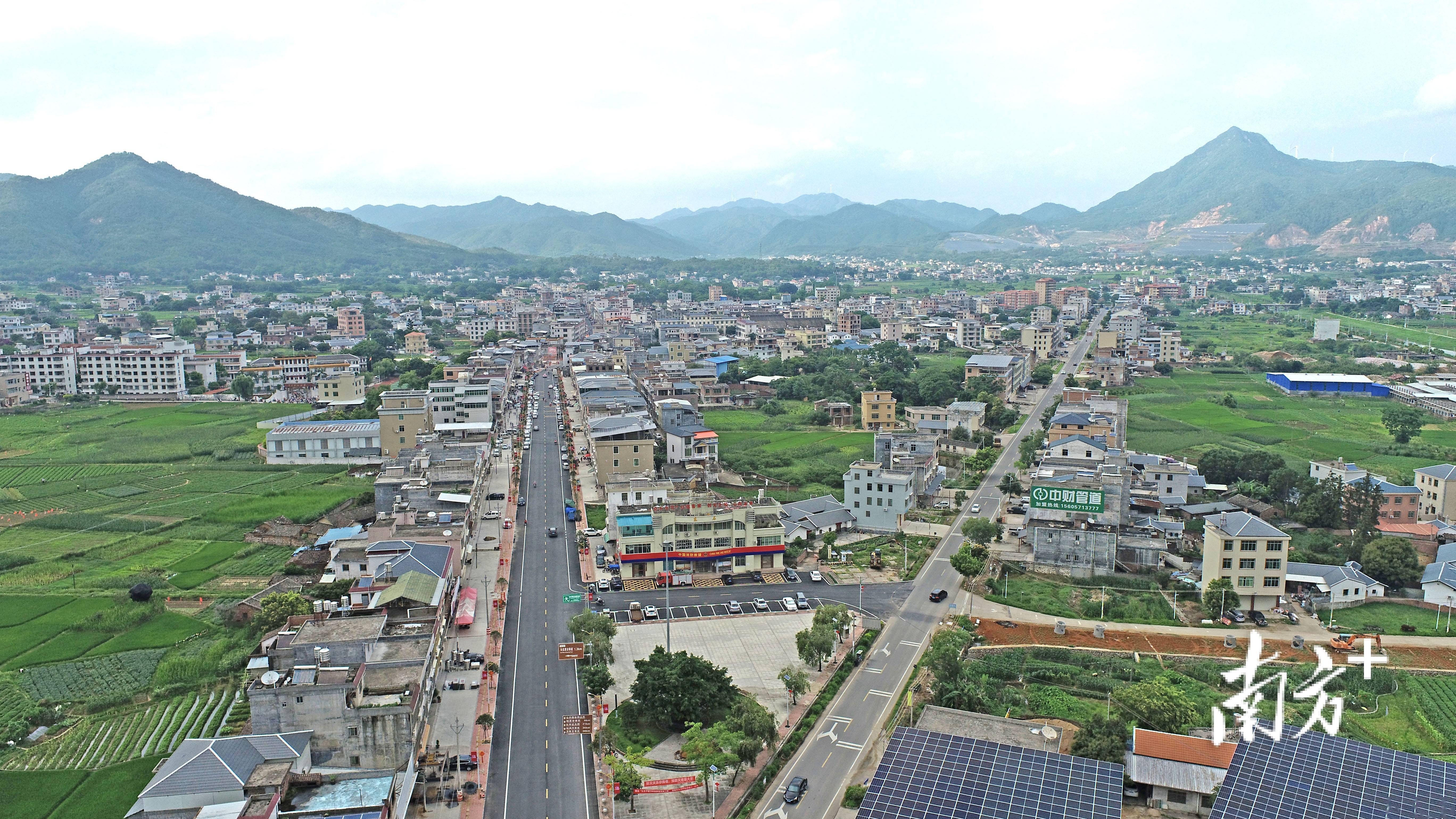 驻东石镇帮镇扶村工作队:为平远"百千万工程"在东石落地见效贡献帮扶