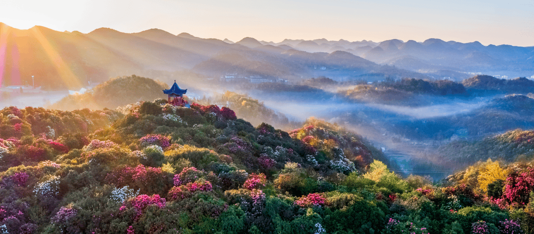 在贵州春山上看黄小西吃晚饭2024贵州最全旅游优惠政策发布只等你来