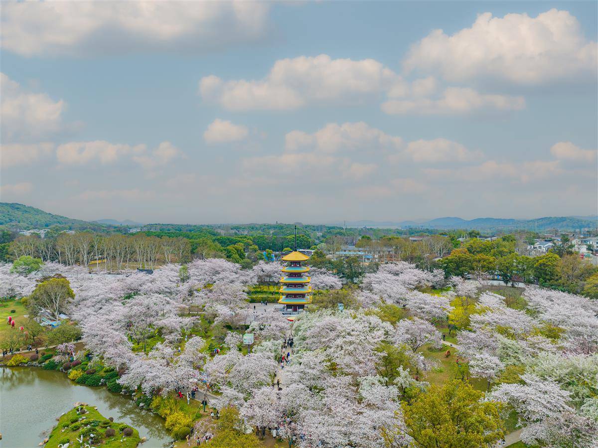 东湖公园景点图片