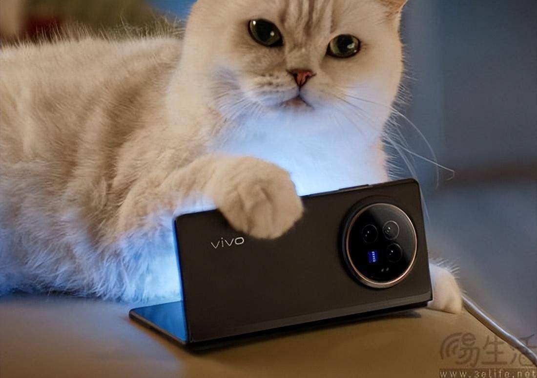 特别是在传统直板机型出现创新匮乏,差异化不明显等问题后,如今折叠屏