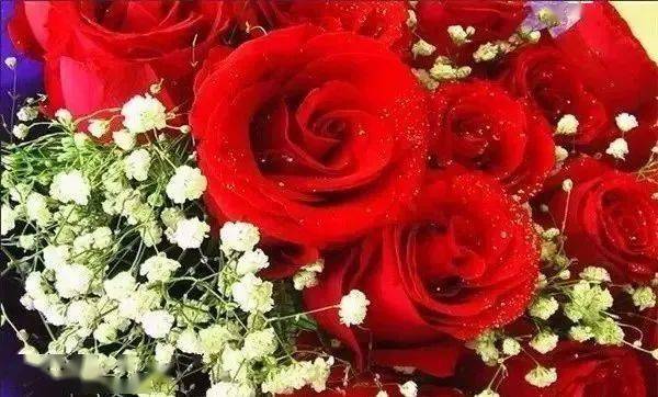 知识荟萃收藏起来慢慢看