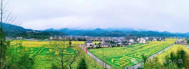 两省四地诗人聚首龙泉小梅海丝瓷源激荡大美诗篇