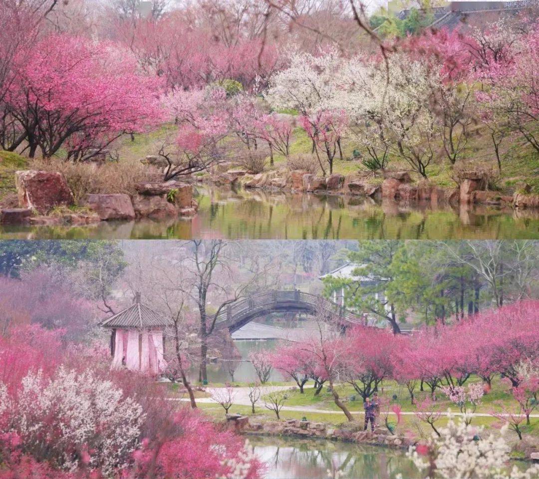 山水盛典总导演梅帅元出席扬州文旅大会并获聘扬州文旅名城智库专家