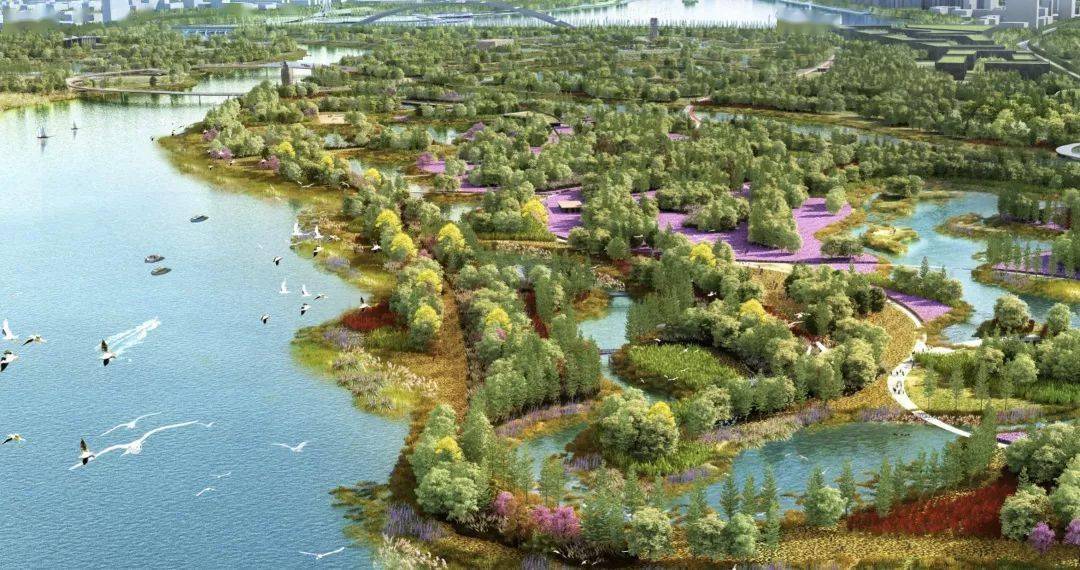 33万元约103849平方米一期工程建设面积东湖湿地公园(二期)项目滨海