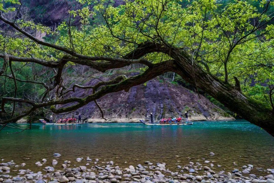 九曲溪day-1【花花世界】-【寻梦麻阳溪画舫游船】-午餐【四宝小镇】