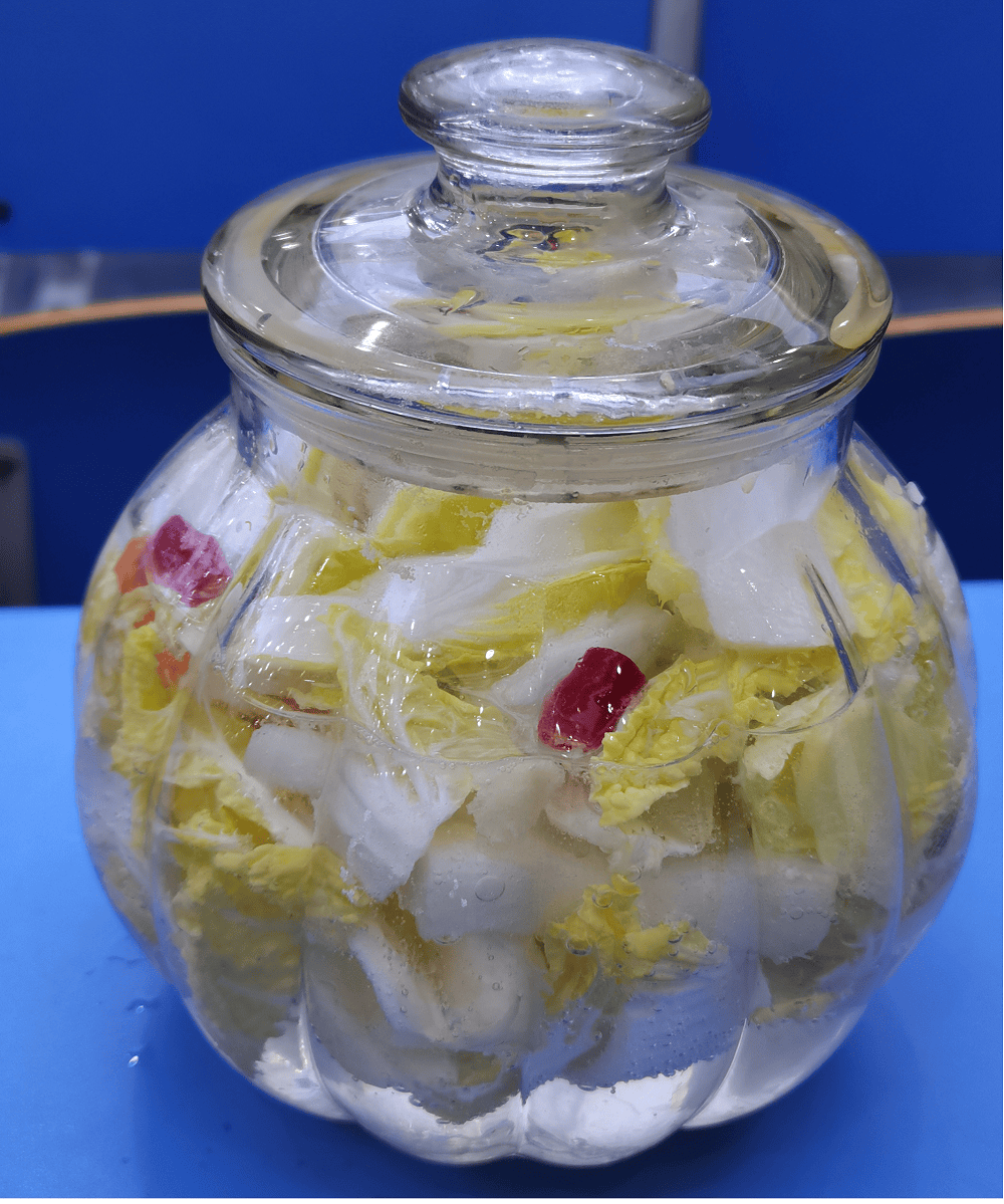 【阳泉一中】生物试验田活动纪实——体验传统发酵技术之泡菜制作