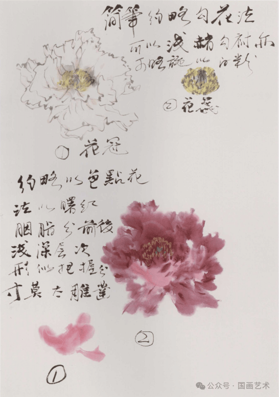 陈玉圃写意牡丹画法课徒画稿