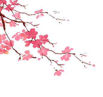 跟我这样做_花粉_患者_症状