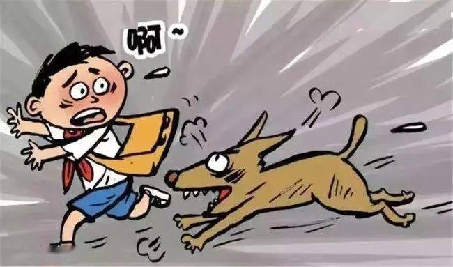 如被犬咬伤,要注意进行正确的伤口处理并尽快就医.
