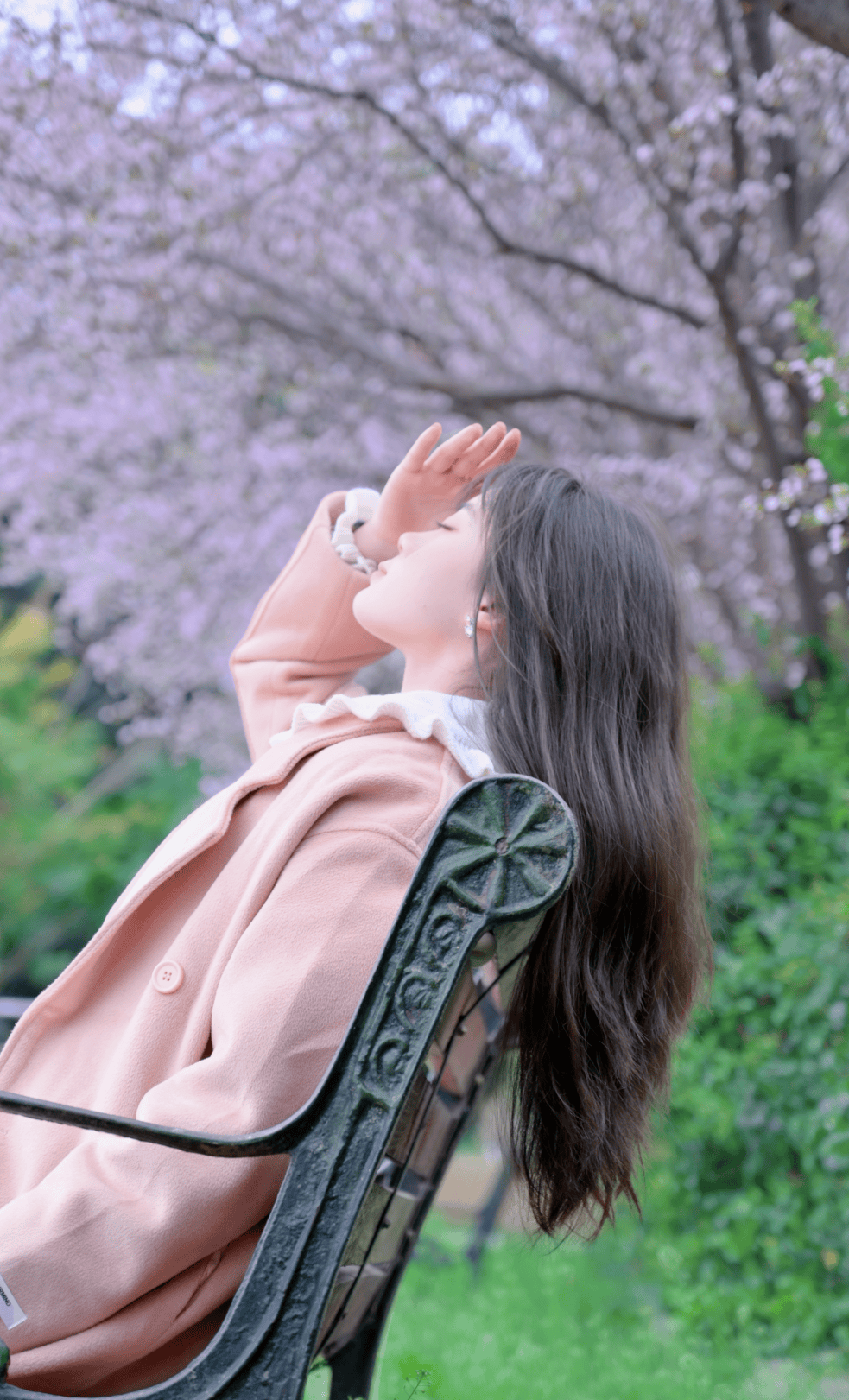 把64春64分64给你一半四川高校春景大赏景美人也美