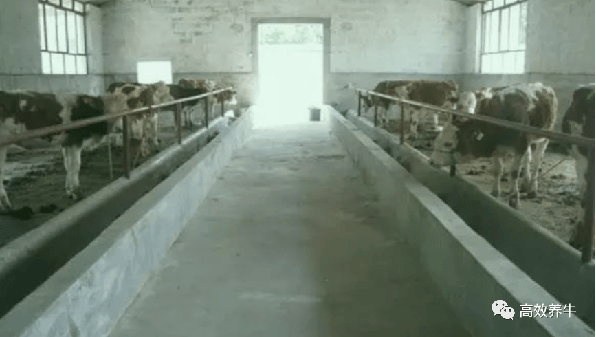 建设_地面_牛槽