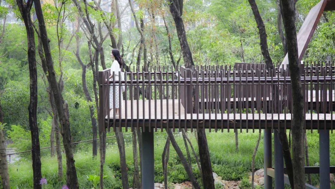 我拥抱山林,脚踩着风坠落于自然包裹的木 ,陷入了美丽的梦如飞鸟