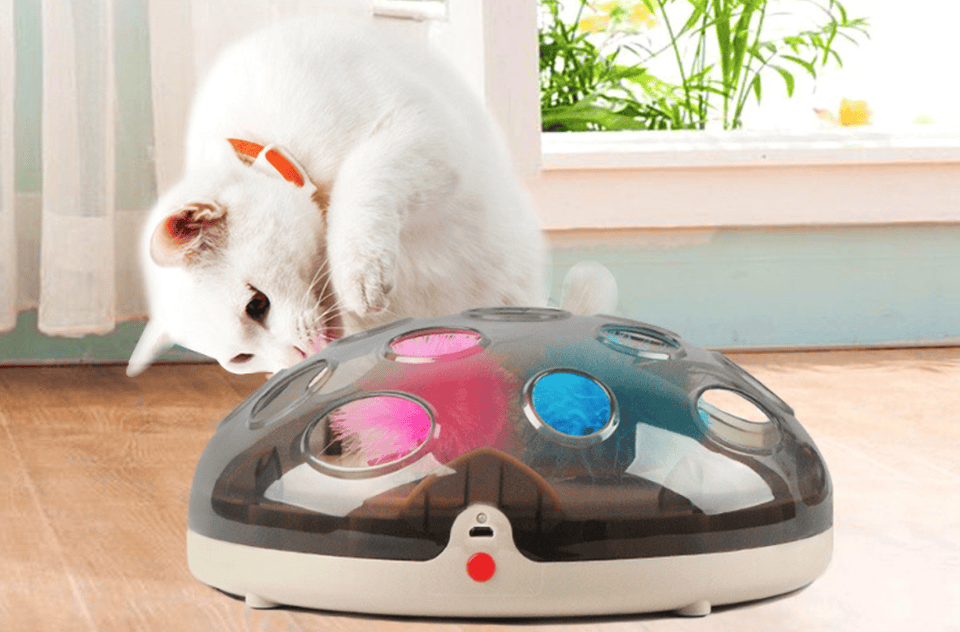 宠物消费市场调查