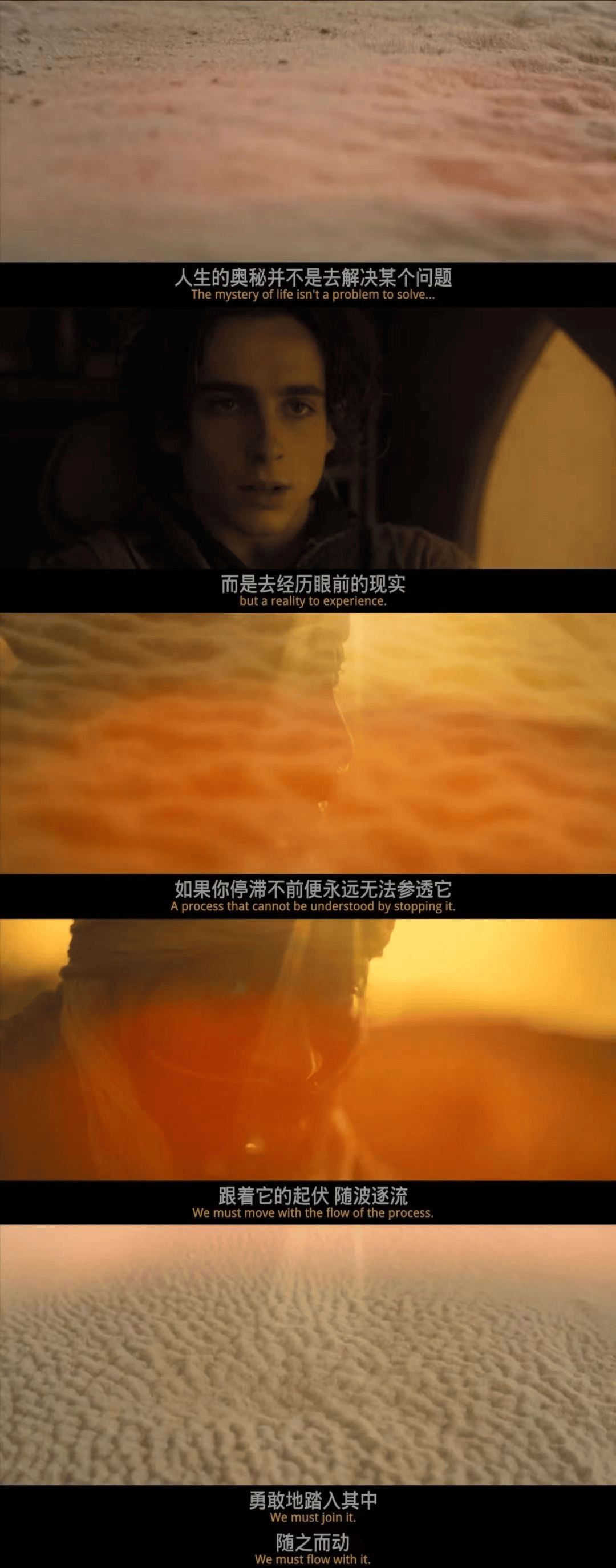 美句| 读过这些寓意深刻的台词,你才算看懂《沙丘》!_恐惧_生命_自由