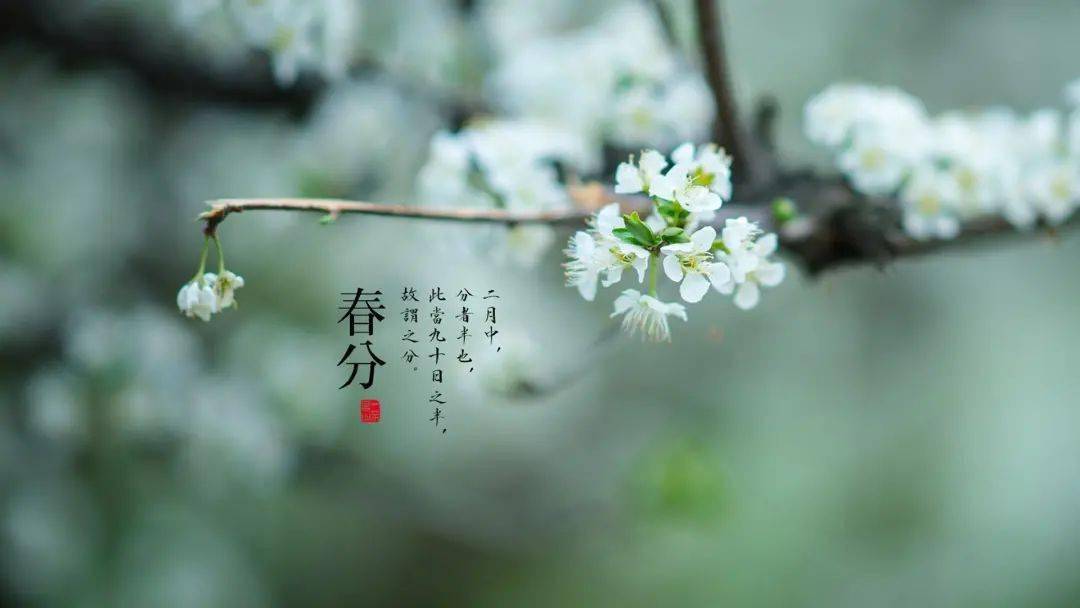 春分暗藏儒释道第一智慧