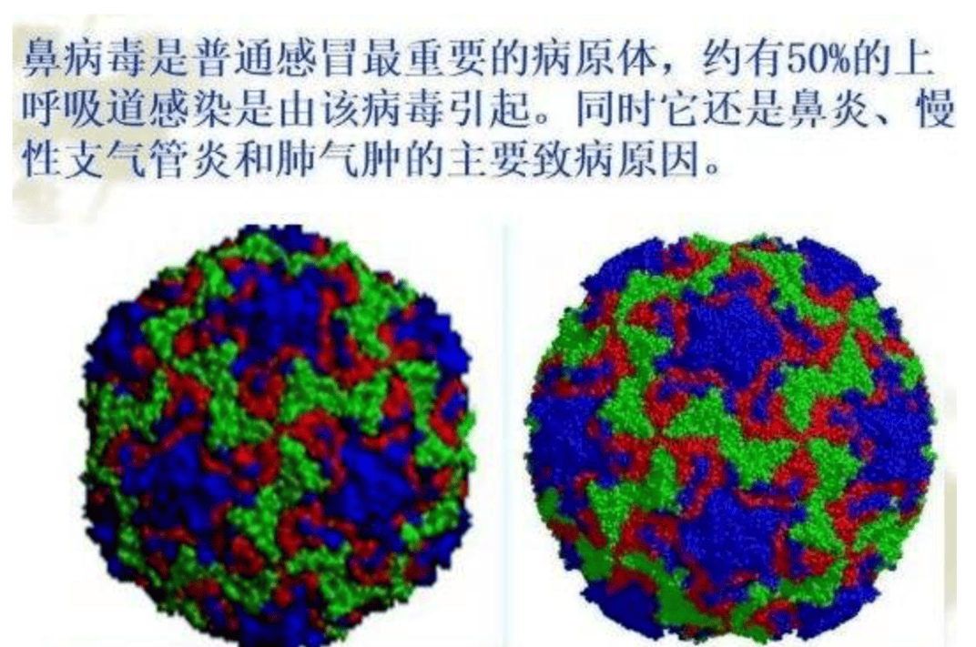 儿童鼻病毒感染非常多有哪些症状到底要不要治疗