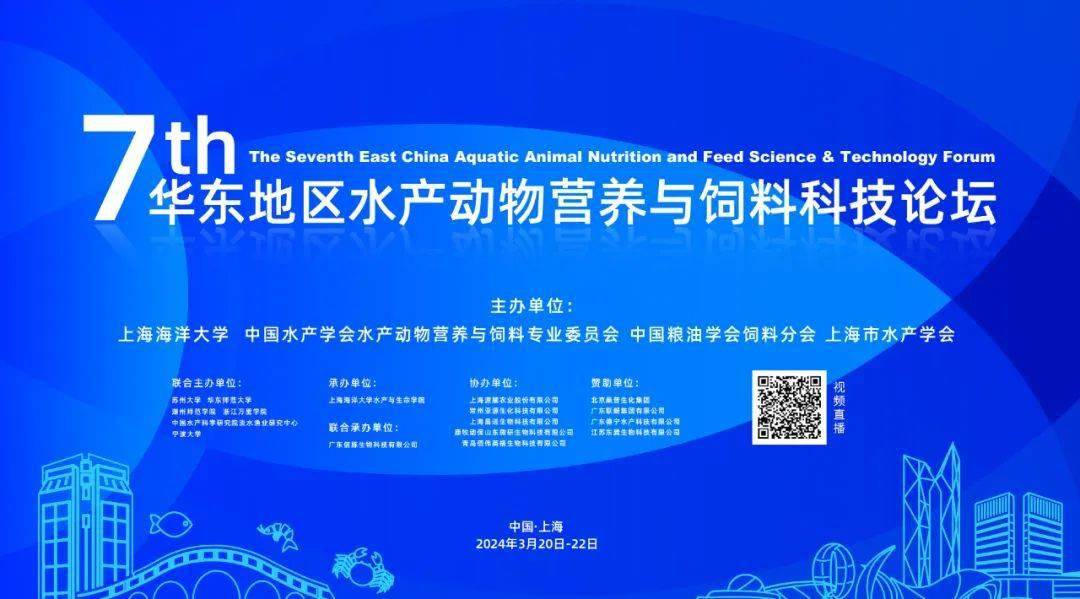 广告 ---------- 广告,也是一种资讯 -----"白金鲫3号(四倍体