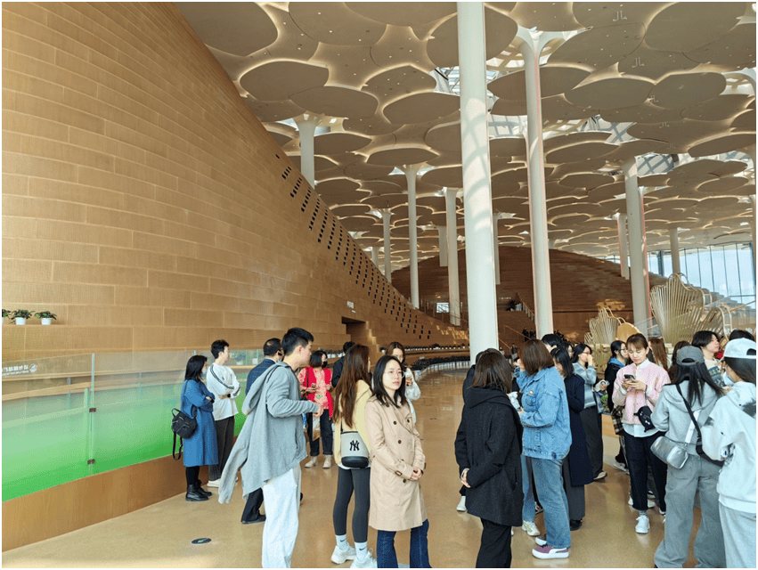 为了让"森林书苑"呈现"山谷门厅"的独特景致,在图书馆南北大门之间