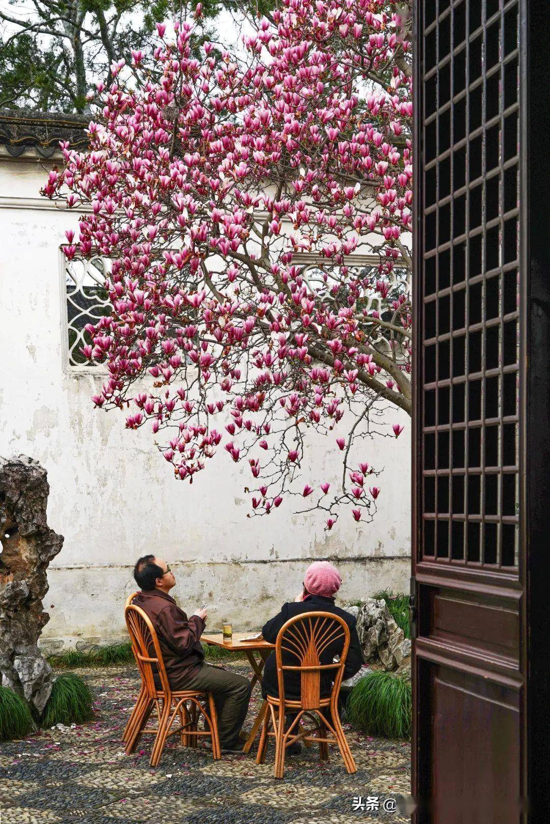 中国最富地级市藏着中国最精致的春天