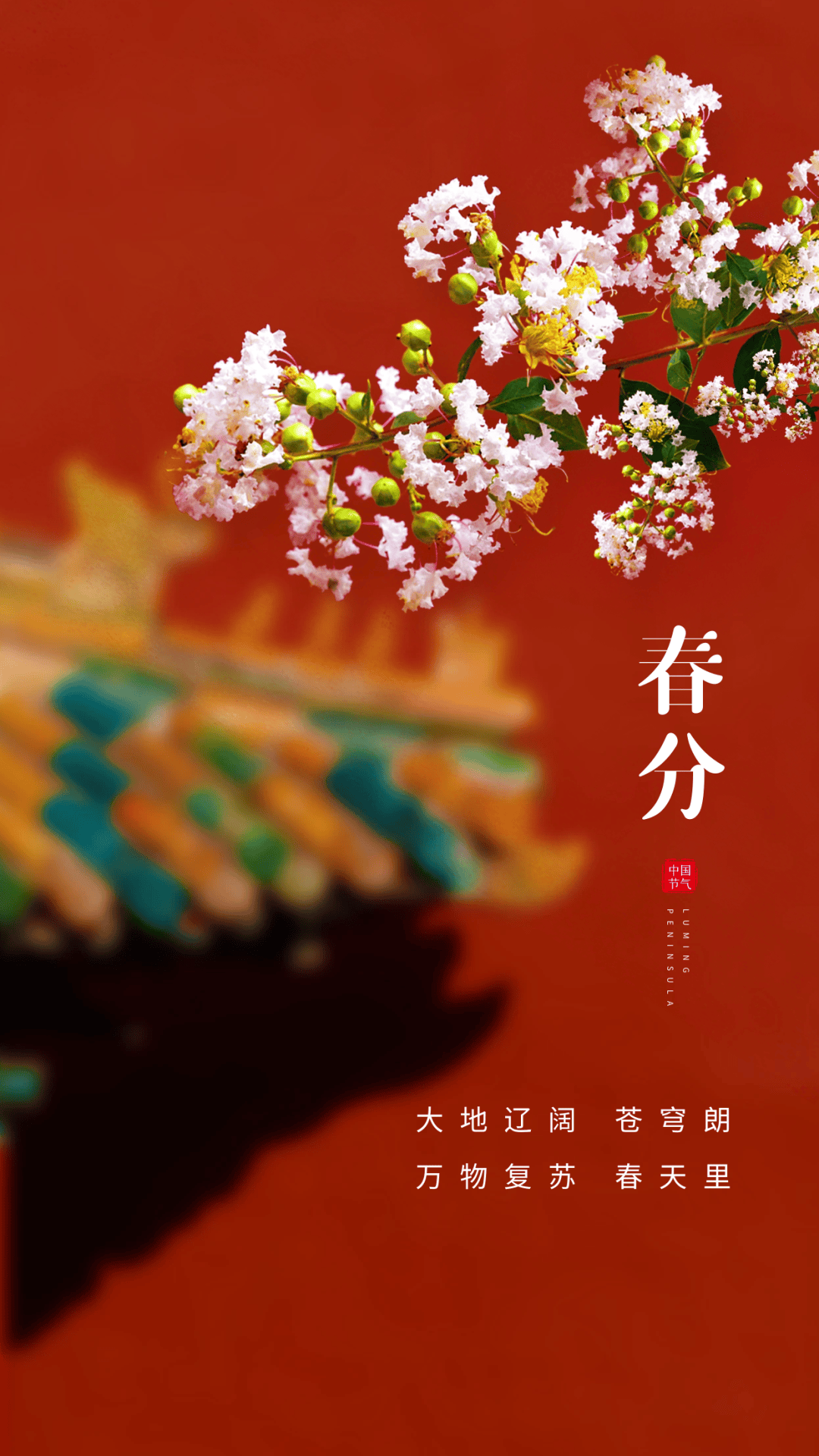 春分梨花图片