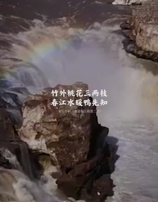 今日春分这些描写春天的古诗你都会背吗诗情画意美得令人心醉