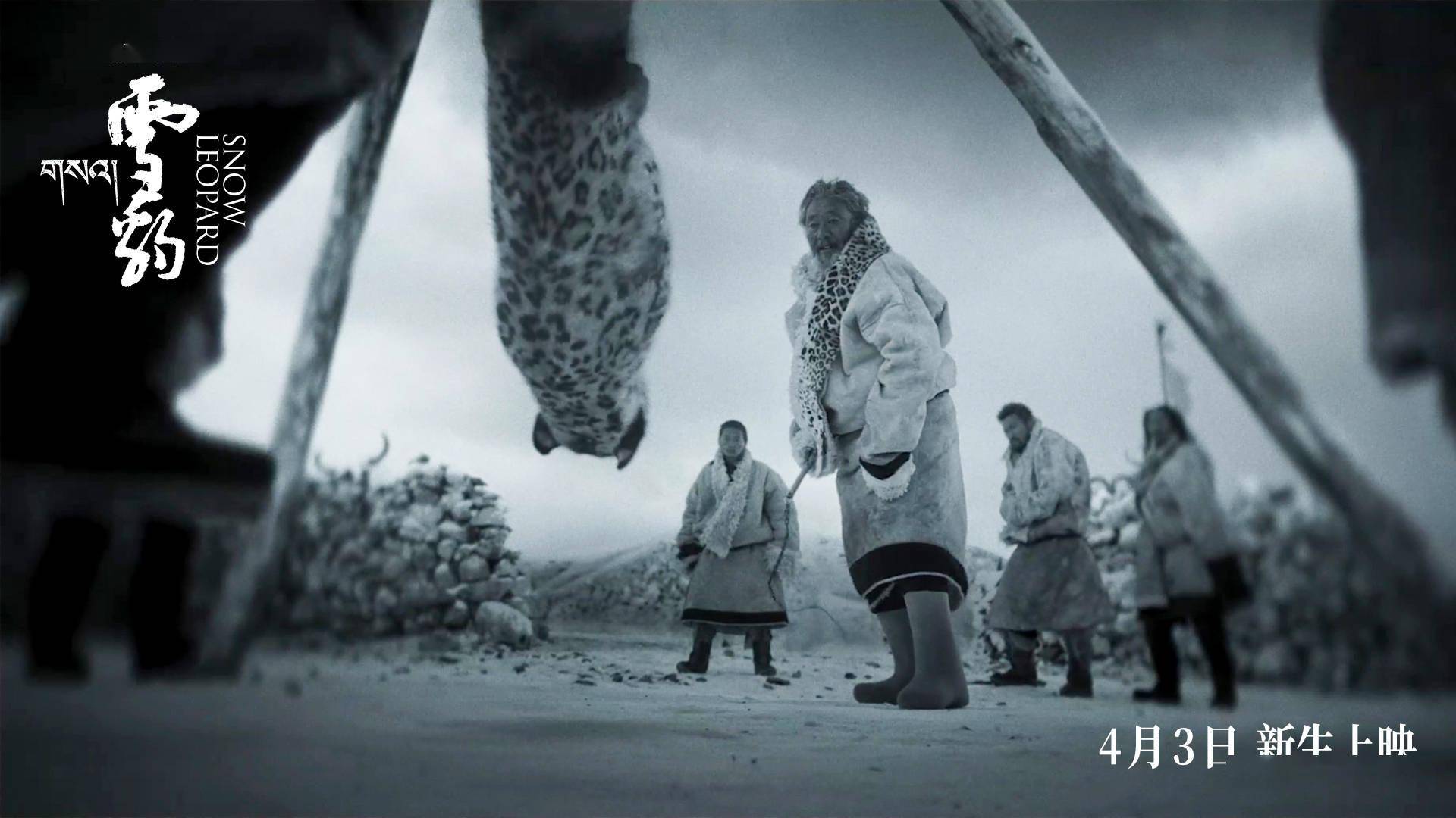 万玛才旦作品雪豹定档4月3日上映人豹冲突引出人性思考
