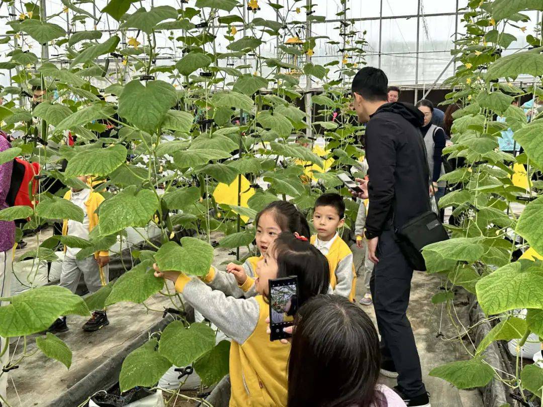省级荣誉 1,东江印象园获"中小学生研学实践教育基(营)地"称号_农业