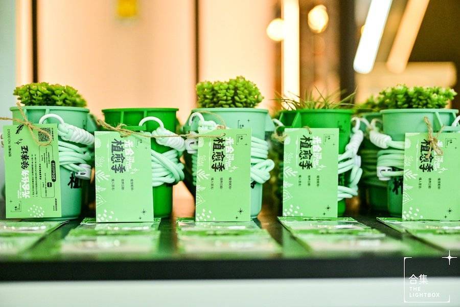 嘉里·合集The Lightbox开启光合植愈季