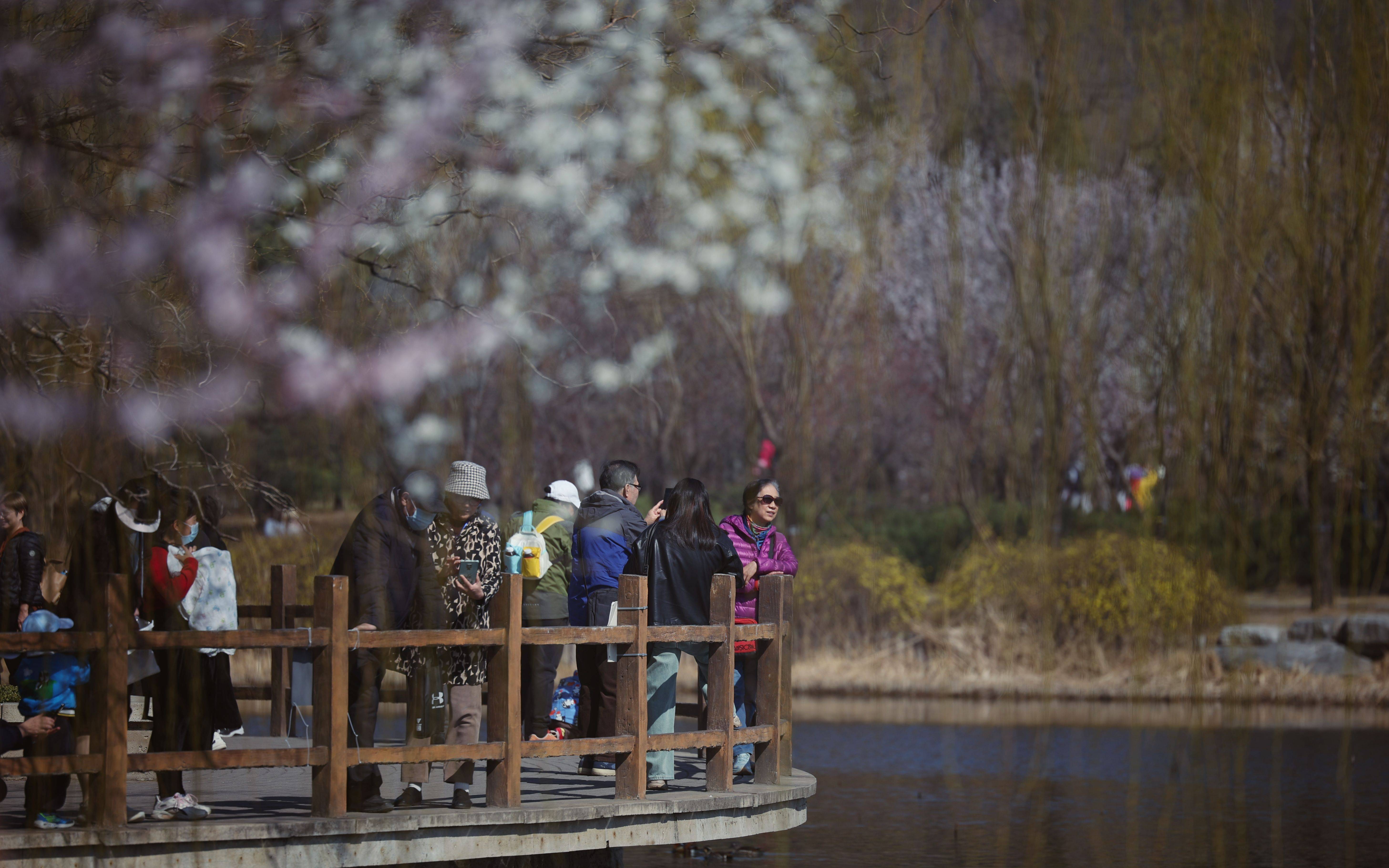 新京报记者 薛珺 摄与此同时,在桃花观赏季期间,多肉植物花展,北京水