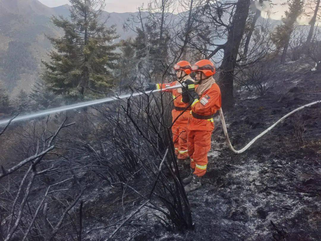 甘肃甘南夏河突发山火320名消防员连夜扑救最新救援进展